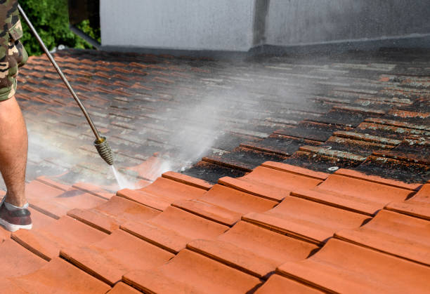 Best Local Pressure Washing Services  in Bothell, WA